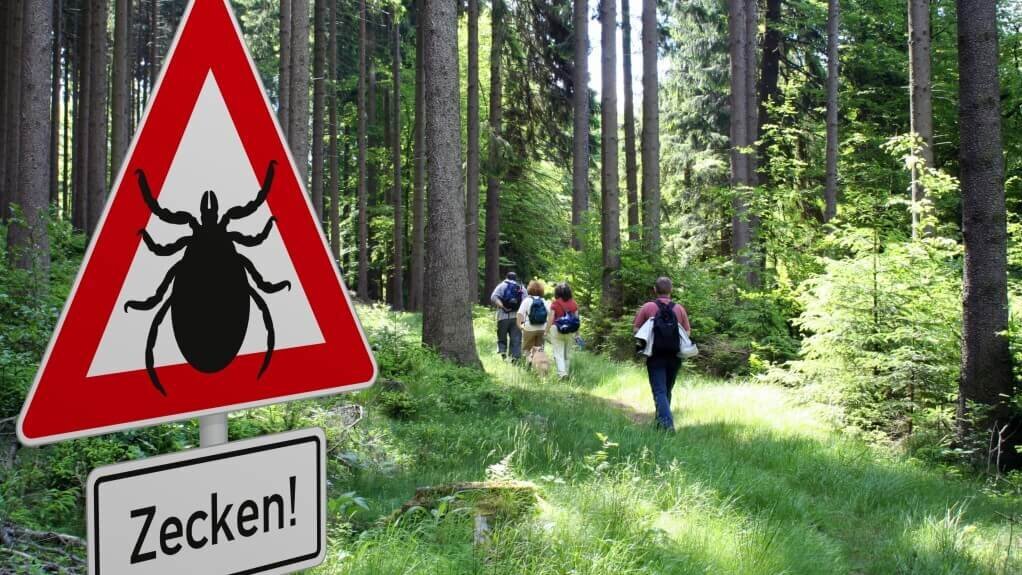 Ein Warnschild mit einer Zecke und dem Text "Zecken!" vor einem Waldweg mit Wanderern.